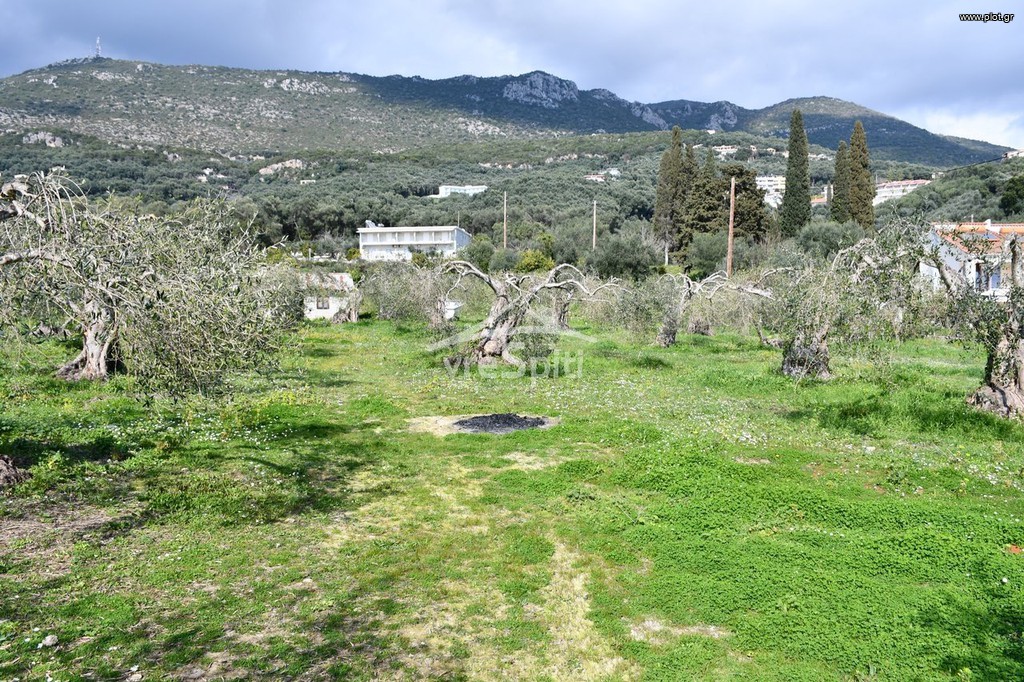 Οικόπεδο 4.130 τ.μ. για πώληση, Ν. Πρέβεζας, Πάργα