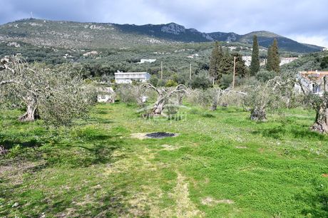 Οικόπεδο 4.130 τ.μ. για πώληση