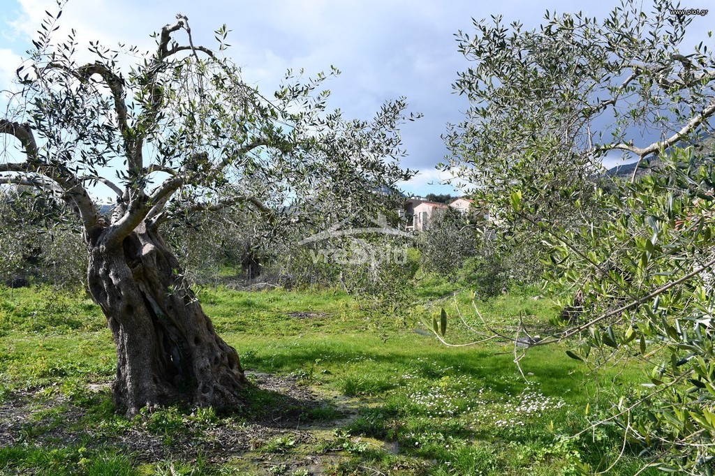 Land plot 4.130 sqm for sale, Preveza Prefecture, Parga