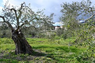Οικόπεδο 4.130 τ.μ. για πώληση, Ν. Πρέβεζας, Πάργα-thumb-3