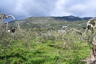 Οικόπεδο 4.130 τ.μ. για πώληση, Ν. Πρέβεζας, Πάργα-thumb-8