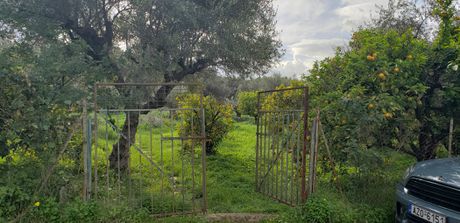 Land plot 1.103 sqm for sale