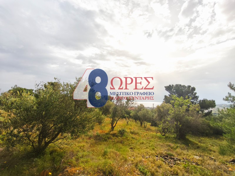 Οικόπεδο 2.501 τ.μ. προς πώληση, Πόλη Χίου