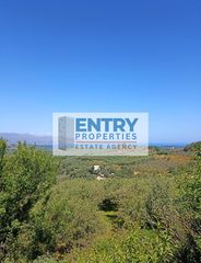 Οικόπεδο 8.000 τ.μ. για πώληση