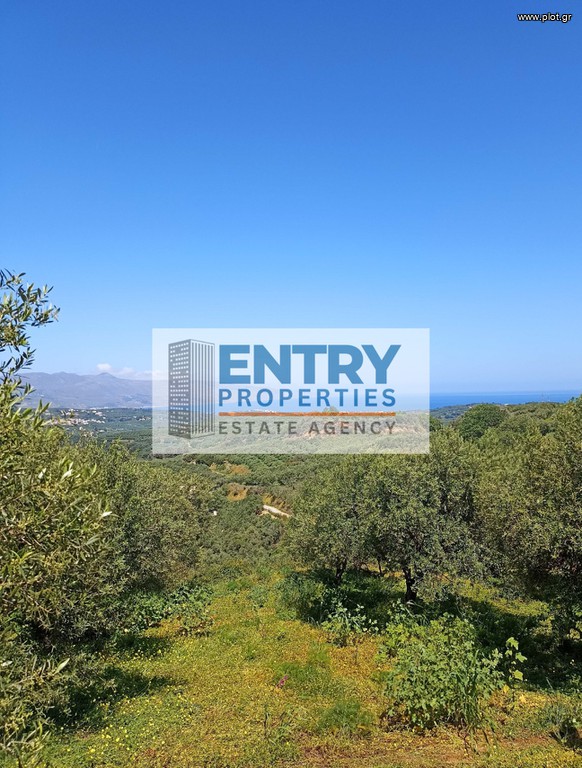 Οικόπεδο 8.000 τ.μ. προς πώληση, Ξαμουδοχώρι