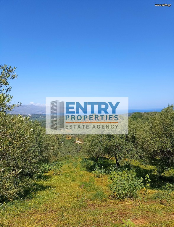 Οικόπεδο 8.000 τ.μ. προς πώληση, Ξαμουδοχώρι