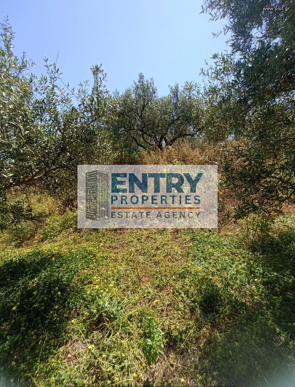 Οικόπεδο 8.000 τ.μ. προς πώληση, Ξαμουδοχώρι
