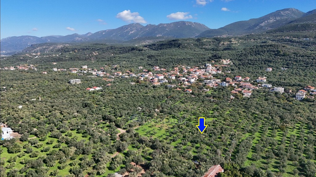 Οικόπεδο 5.115 τ.μ. για πώληση, Μεσσηνία, Θουρία