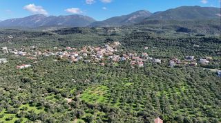 Οικόπεδο 5.115 τ.μ. για πώληση, Μεσσηνία, Θουρία-thumb-13