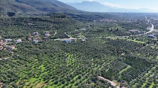 Οικόπεδο 5.115 τ.μ. για πώληση, Μεσσηνία, Θουρία-thumb-4