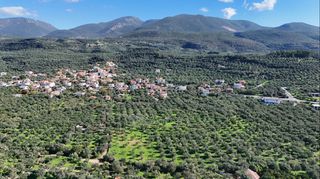 Οικόπεδο 5.115 τ.μ. για πώληση, Μεσσηνία, Θουρία-thumb-6