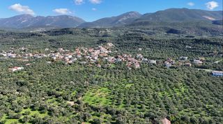 Οικόπεδο 5.115 τ.μ. για πώληση, Μεσσηνία, Θουρία-thumb-9