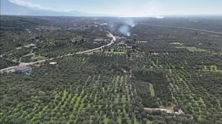 Οικόπεδο 5.115 τ.μ. για πώληση, Μεσσηνία, Θουρία-thumb-3