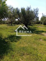 Οικόπεδο 800 τ.μ. για πώληση