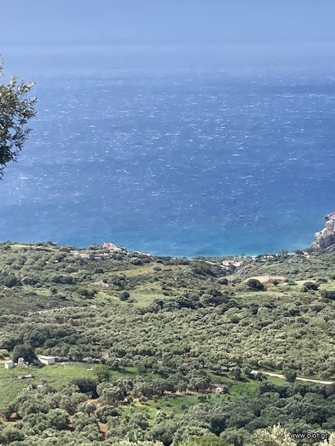 Οικόπεδο 4.000 τ.μ. πρός πώληση, Ν. Ρεθύμνου, Φοινίκας