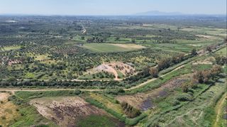Αγροτεμάχια 2.170 τ.μ. για πώληση, Μεσσηνία, Αρφαρά-thumb-7