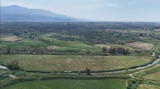 Αγροτεμάχια 40.000 τ.μ. για πώληση, Μεσσηνία, Αρφαρά-thumb-13