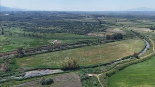 Αγροτεμάχια 40.000 τ.μ. για πώληση, Μεσσηνία, Αρφαρά-thumb-8
