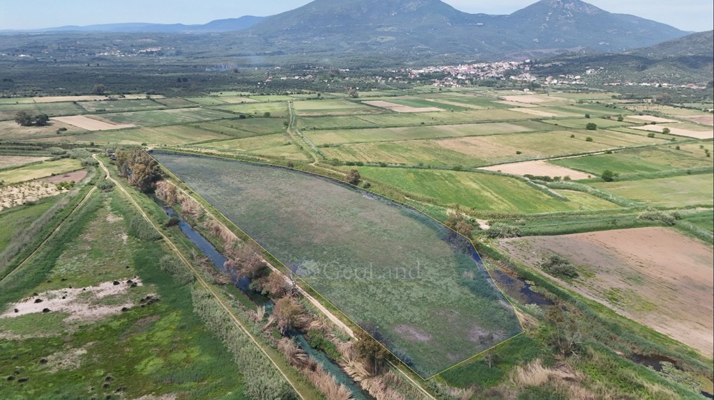 Αγροτεμάχια 40.000 τ.μ. για πώληση, Μεσσηνία, Αρφαρά