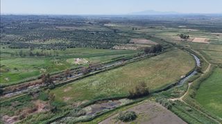 Αγροτεμάχια 40.000 τ.μ. για πώληση, Μεσσηνία, Αρφαρά-thumb-7
