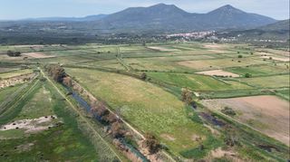 Αγροτεμάχια 40.000 τ.μ. για πώληση, Μεσσηνία, Αρφαρά-thumb-3