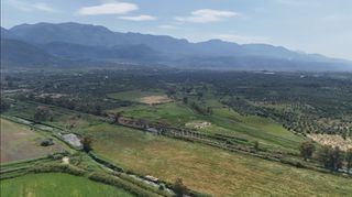 Αγροτεμάχια 40.000 τ.μ. για πώληση, Μεσσηνία, Αρφαρά-thumb-15