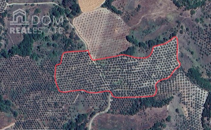 Αγροτεμάχια 40.000 τ.μ. για πώληση, Φθιώτιδας, Μώλος