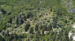 Αγροτεμάχια 10.000 τ.μ. για πώληση, Ν. Λευκάδας, Λευκάδα-thumb-2