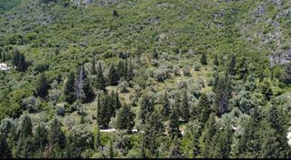 Αγροτεμάχια 10.000 τ.μ. για πώληση, Ν. Λευκάδας, Λευκάδα-thumb-3