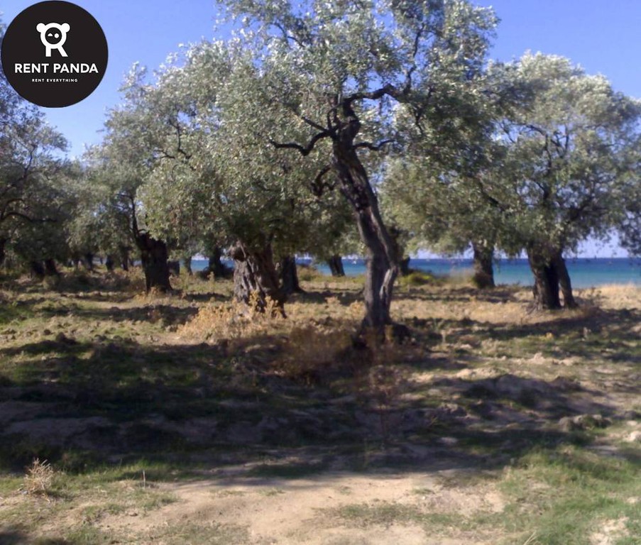 Οικόπεδο 42.000 τ.μ. για πώληση, Ν. Καβάλας, Ελευθερές