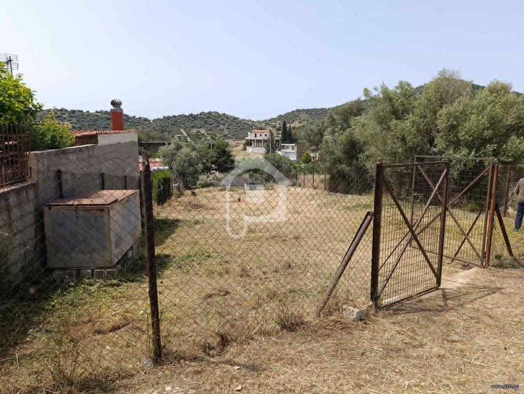 Οικόπεδο 501 τ.μ. προς πώληση, Κολώνες