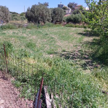 Οικόπεδο 655 τ.μ. προς πώληση