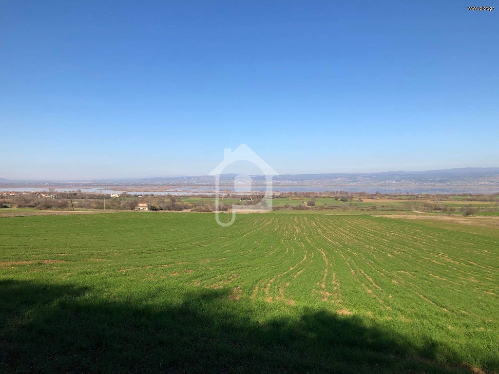 Αγροτεμάχια 2.700 τ.μ. προς πώληση, Κέντρο Κορώνειας