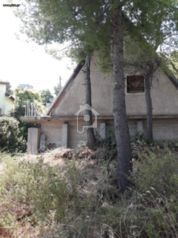 Βίλλα 120 τ.μ. πρός πώληση, Φθιώτιδας, Δαφνούσες