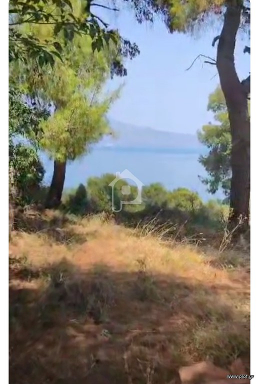 Βίλλα 120 τ.μ. πρός πώληση, Φθιώτιδας, Δαφνούσες