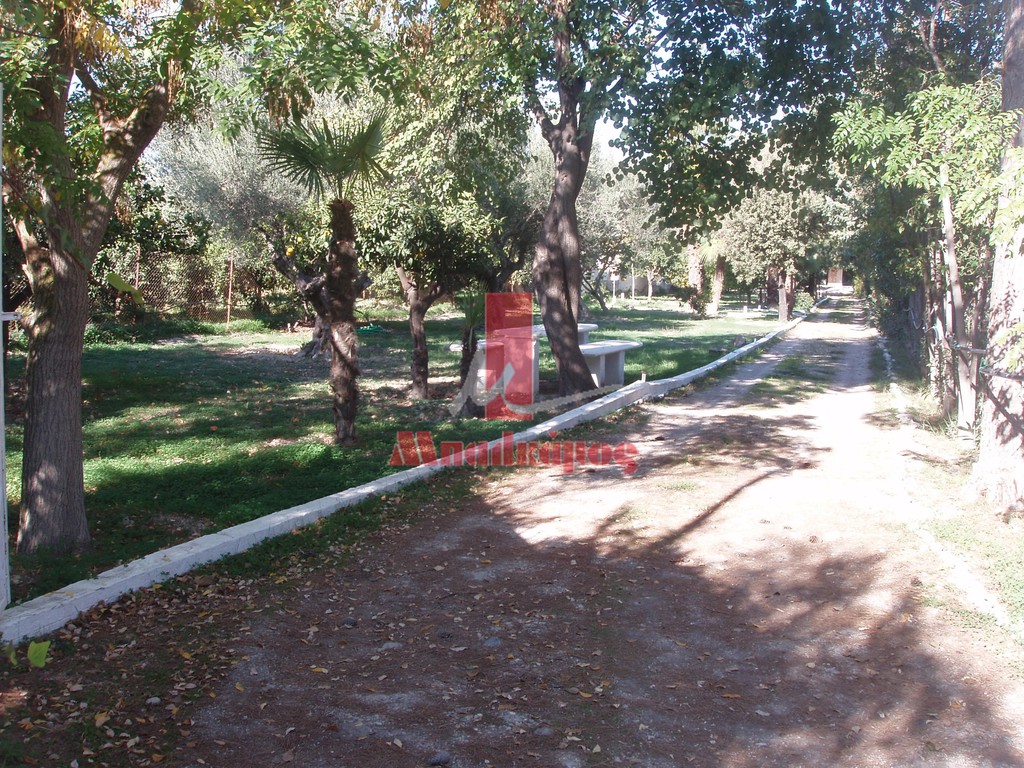 Μονοκατοικία 222 τ.μ. πρός πώληση, Κορινθία, Βέλο