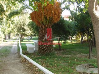 Μονοκατοικία 216 τ.μ. για πώληση