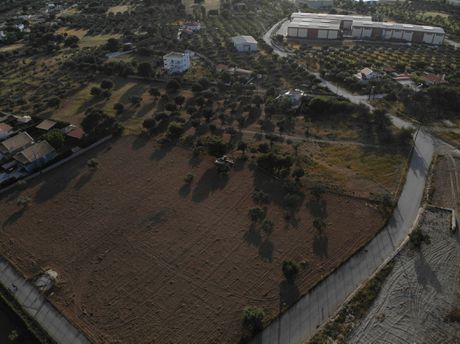 Αγροτεμάχια 8.500 τ.μ. πρός πώληση