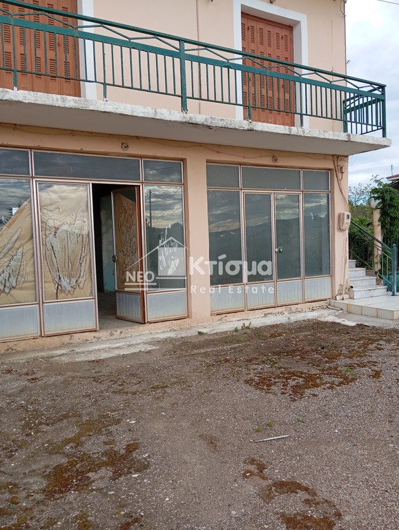 Διαμέρισμα 103 τ.μ. για πώληση, Ν. Ηλείας, Ωλένη