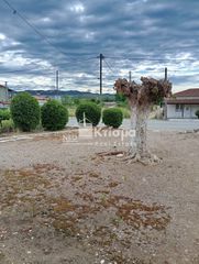 Διαμέρισμα 103 τ.μ. για πώληση, Ν. Ηλείας, Ωλένη-thumb-6