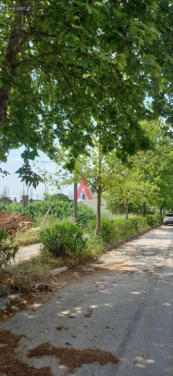 Οικόπεδο 267 τ.μ. προς πώληση, Τούμπα Λάρισας