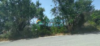 Οικόπεδο 620 τ.μ. για πώληση