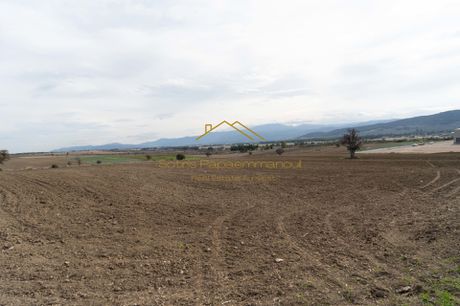 Land plot 28.000 sqm for sale