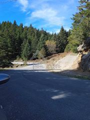 Αγροτεμάχια 2.717 τ.μ. προς πώληση, Κέντρο Λαγκαδίων-thumb-5