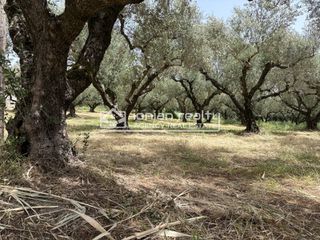 Οικόπεδο 3.000 τ.μ. προς πώληση, Αρτεμίσιο Ζακύνθου-thumb-1