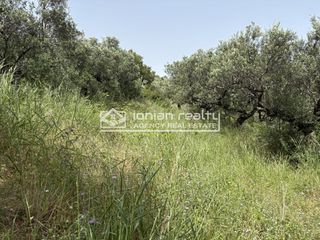 Οικόπεδο 2.500 τ.μ. για πώληση, Ζάκυνθος, Αρτεμίσιο-thumb-3