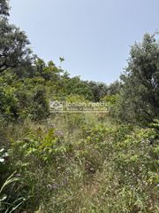 Οικόπεδο 2.500 τ.μ. για πώληση, Ζάκυνθος, Αρτεμίσιο-thumb-5