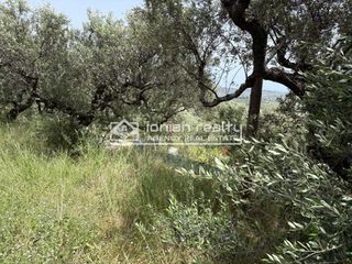 Οικόπεδο 2.500 τ.μ. για πώληση, Ζάκυνθος, Αρτεμίσιο-thumb-4