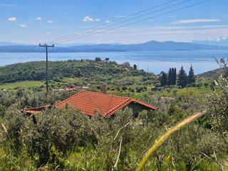 Μονοκατοικία 65 τ.μ. για πώληση