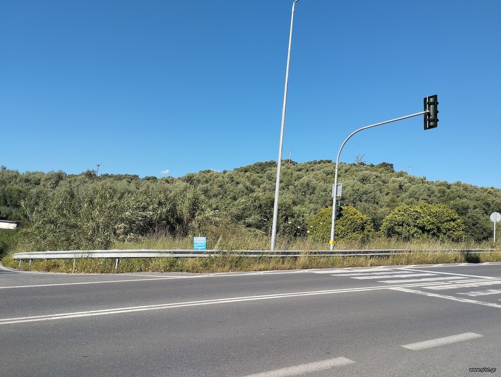 Οικόπεδο 9.356 τ.μ. πρός πώληση, Μεσσηνία, Νέστορας